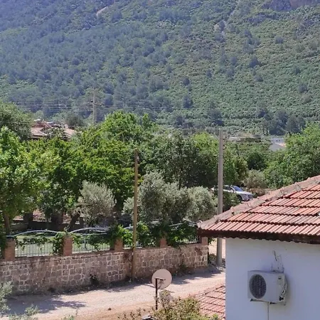 Sarıhan 2*