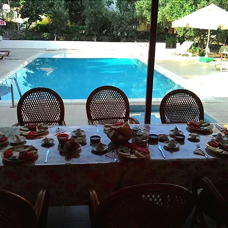 شاريهان أبارت أولدينيس