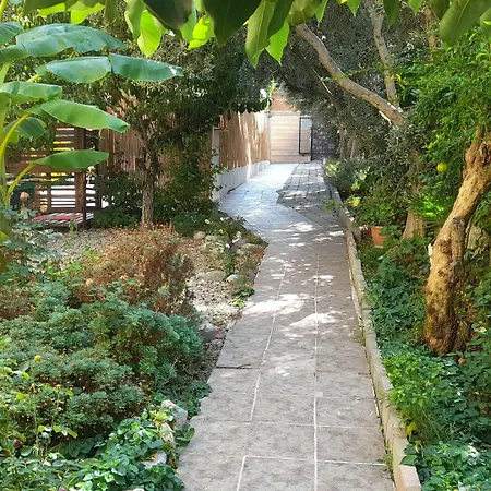 شاريهان أبارت